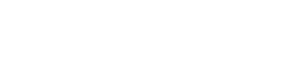 Colour Point Logo